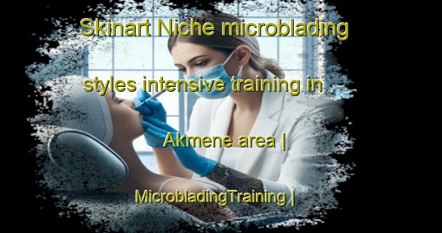 Skinart Niche microblading styles intensive training in Akmene area | MicrobladingTraining | MicrobladingClasses | SkinartTraining-Lithuania